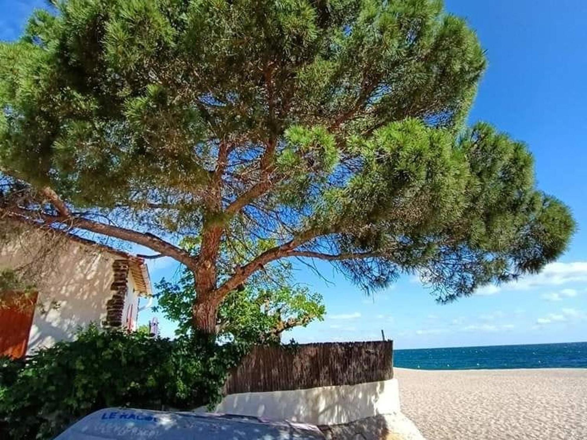 Pavillon 6 Pers A Argeles-Sur-Mer: Piscine, Clim, Parking, Wifi, Proche Plage - Fr-1-776-5 エクステリア 写真